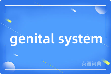 genital system